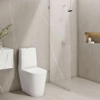 Chuveiro De Parede Redondo Acqua Plus Com Tubo Curvo 1990 Cromada Deca