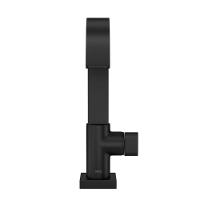 Torneira De Mesa Bica Alta Para Lavatório Polo Black Matte Deca - 2