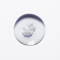 Kérastase Chronologiste Bain Régénérant Shampoo 250ml - 7