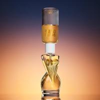 Jean Paul Gaultier Divine EDP Perfume Feminino Refil 200ml - 7
