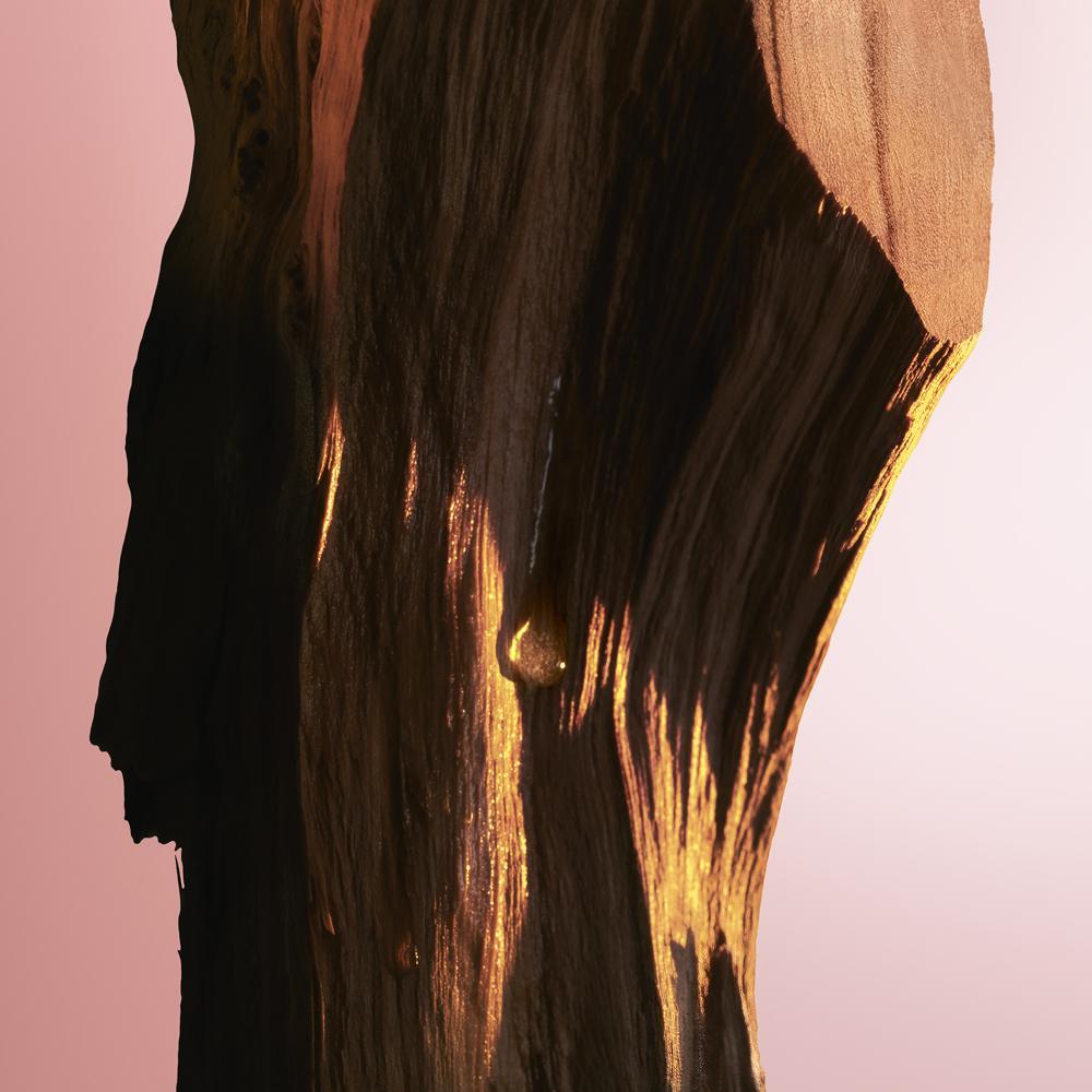 Paco Rabanne Fame Intense EDP Perfume Feminino Refil 200ml - 8