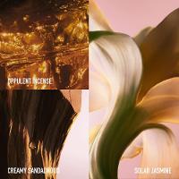 Paco Rabanne Fame Intense EDP Perfume Feminino Refil 200ml - 5