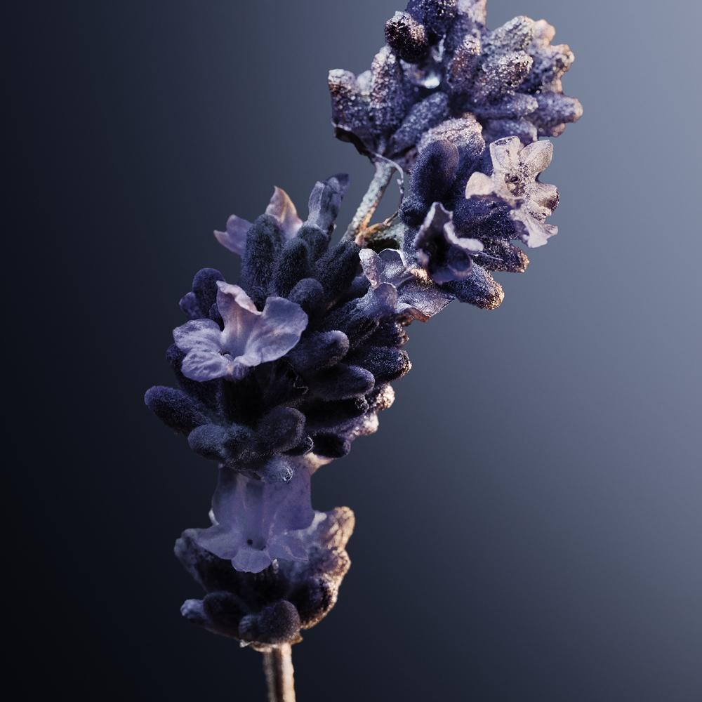 Paco Rabanne Phantom Intense EDP Perfume Masculino 100ml - 7