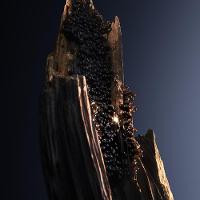 Paco Rabanne Phantom Intense EDP Perfume Masculino 100ml - 8