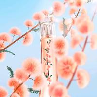 KENZO FLOWER BY KENZO IKEBANA MIMOSA EAU DE PARFUM PERFUME FEMININO 75ML - 5