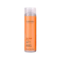 Cadiveu Essentials Bye Bye Frizz Shampoo 250ml - 1