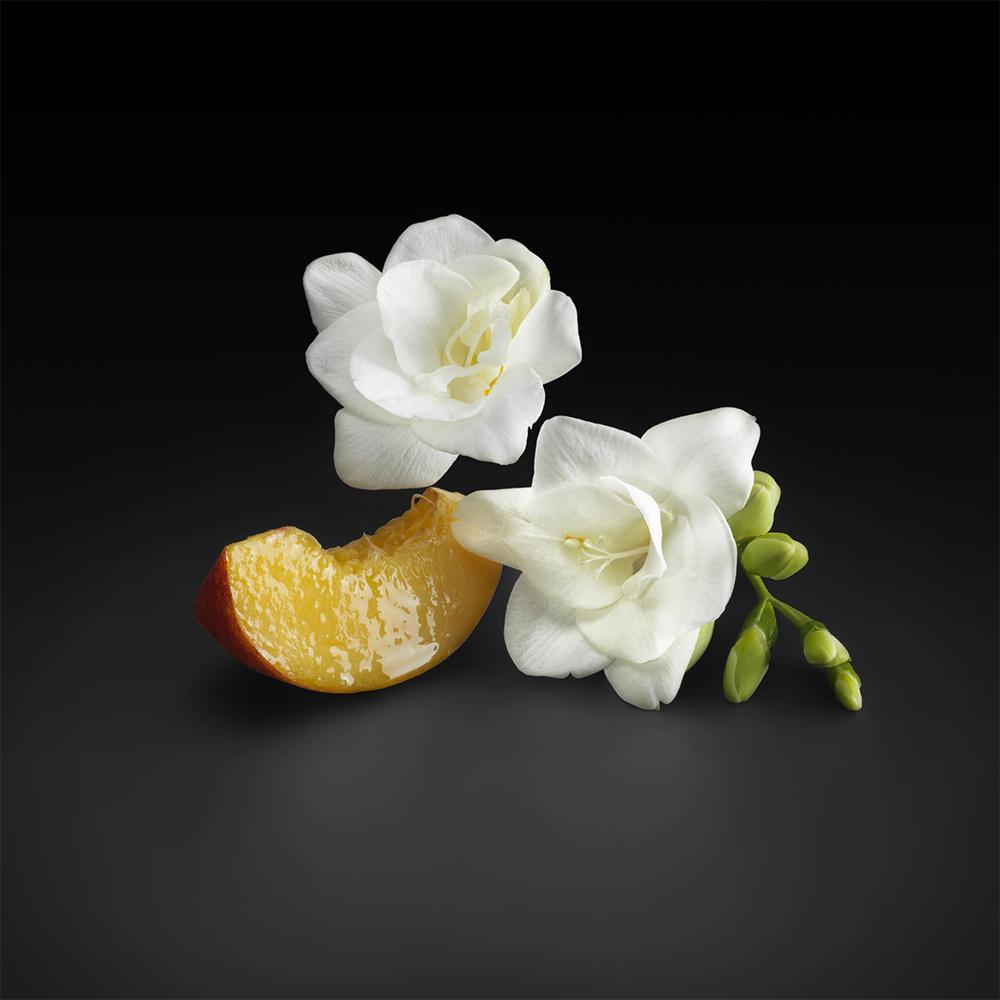 Hugo Boss The Scent EDP Perfume Feminino 50ml - 3