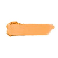 Fran By Franciny Ehlke Cover  Corretivo M-02 4g - 2