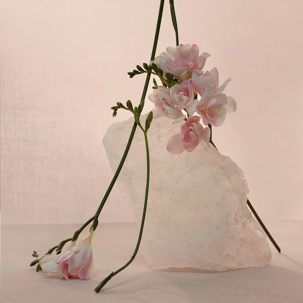 Adolfo Dominguez Nude Musk EDP Perfume Feminino 120ml - 4