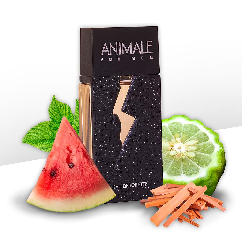 Animale For Men EDT Perfume Masculino 100ml - 3