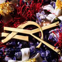 Yves Saint Lauren Libre Le Parfum EDP Perfume Feminino 50ml