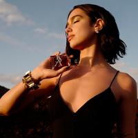 Yves Saint Lauren Libre Le Parfum EDP Perfume Feminino 50ml - 6