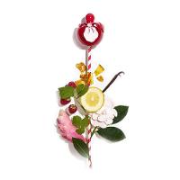 Nina Ricci Rouge EDT Perfume Feminino 30ml