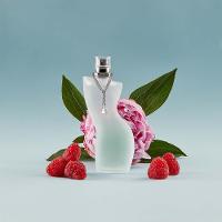 Shakira Dance Diamonds EDT Perfume Feminino 50ml