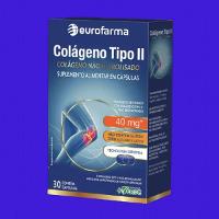 Colágeno Tipo II - 30 cápsulas - 2