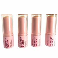 Base Stick Perfect Blend Ruby Rose FS80 HB-M300-8 - 3