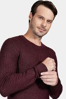 Tricot Aramis Manga Longa Viscose Jacquard Bordeaux - 3