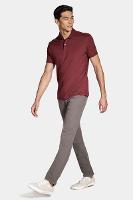 Polo Aramis Malha Lisa Bordo Cabernet - 2