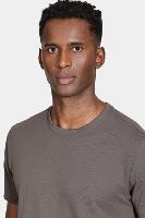 Camiseta Aramis Manga Curta Algodão Peruano Chumbo