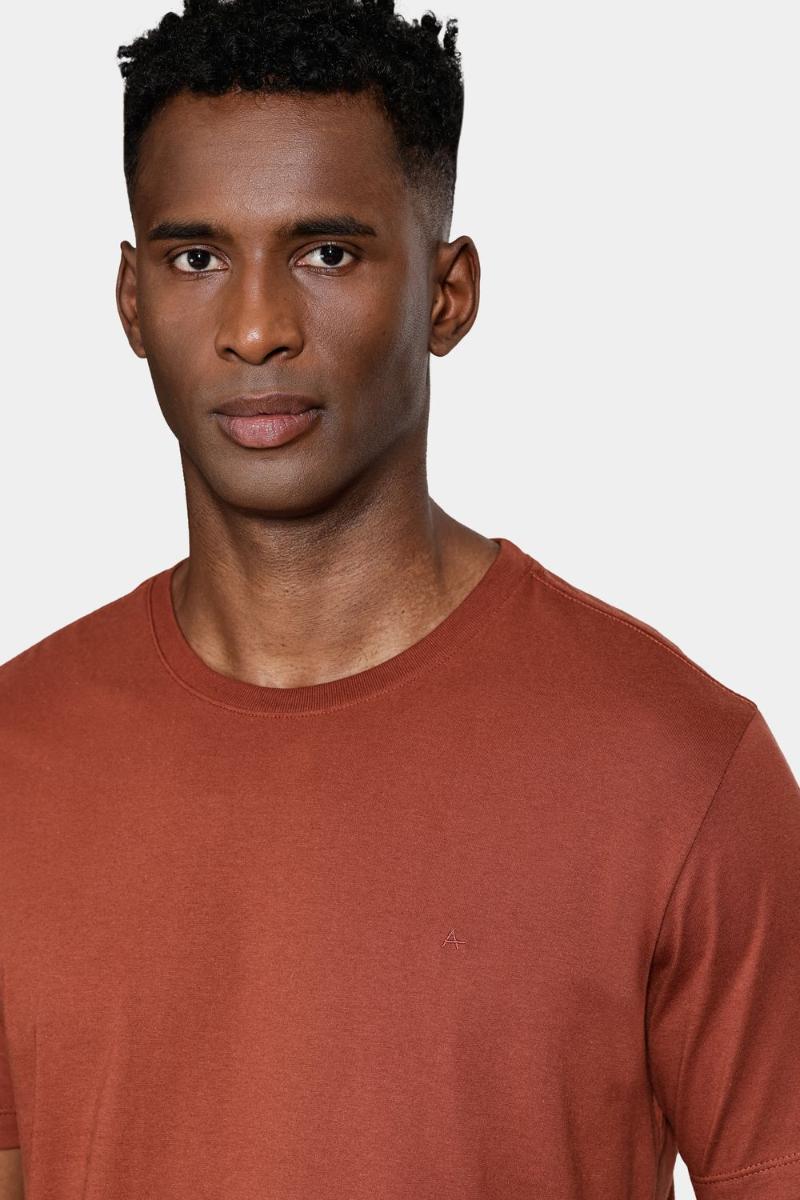 Camiseta Aramis Manga Curta Bordado básica Tijolo - 3