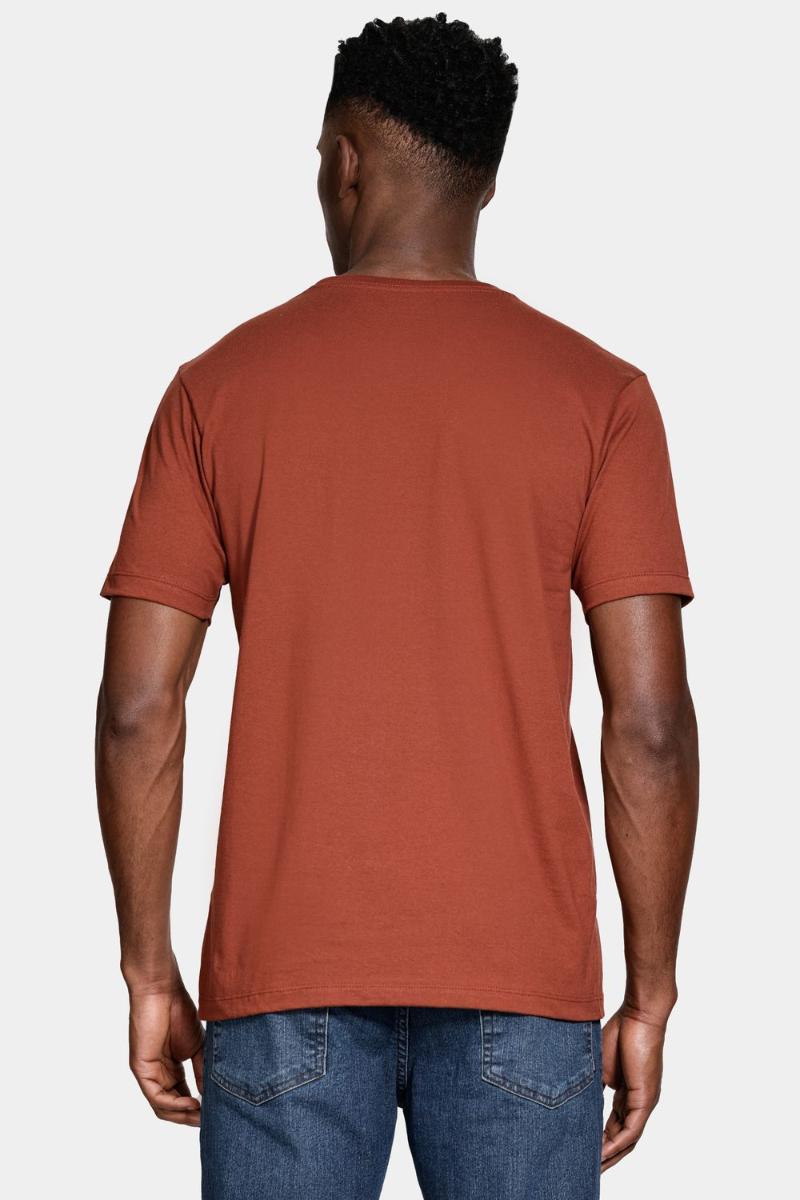 Camiseta Aramis Manga Curta Bordado básica Tijolo - 4