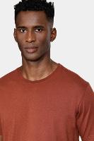 Camiseta Aramis Manga Curta Bordado básica Tijolo - 3