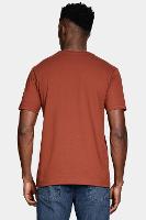 Camiseta Aramis Manga Curta Bordado básica Tijolo