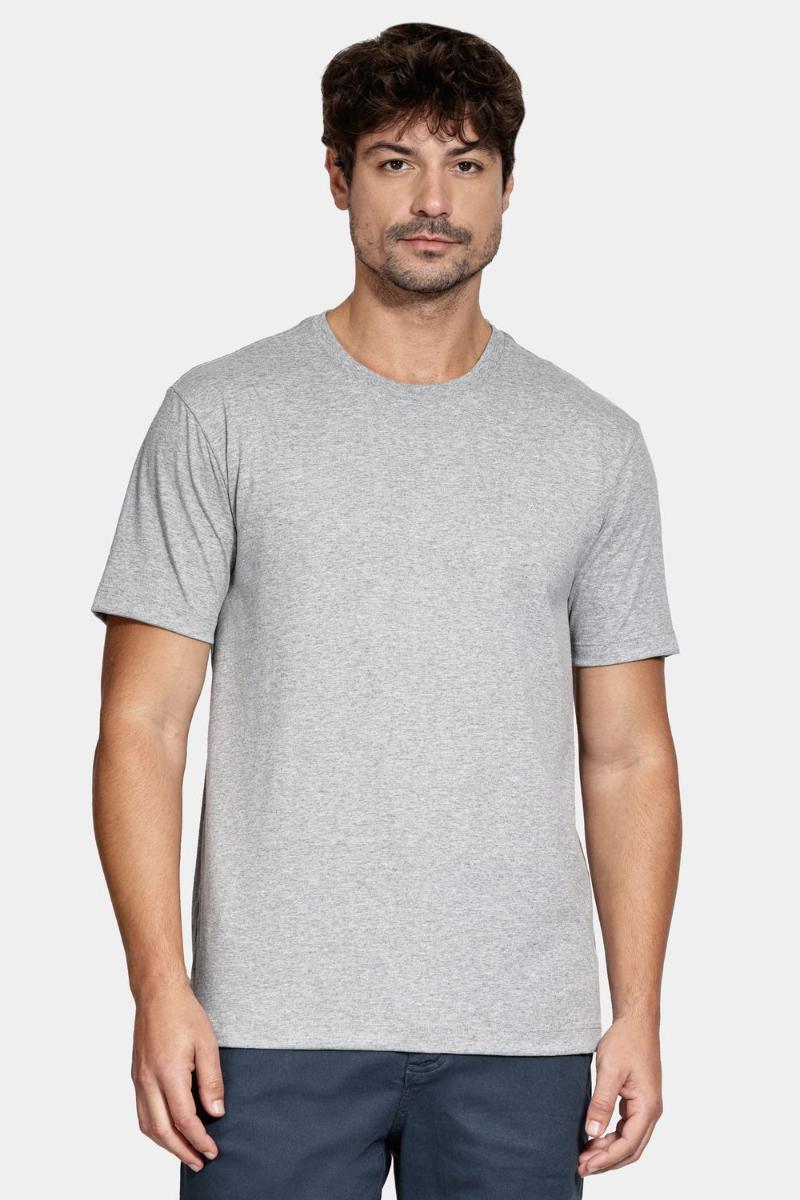 Camiseta Aramis Manga Curta Básica Cinza - 1