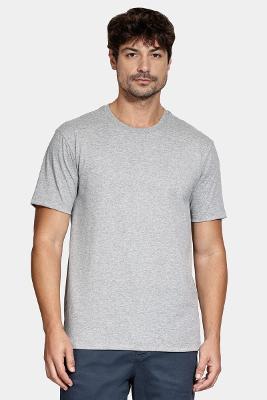 Camiseta Aramis Manga Curta Básica Cinza