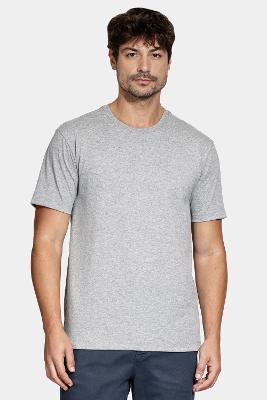 Camiseta Aramis Manga Curta Bordado Basica Cinza Mescla