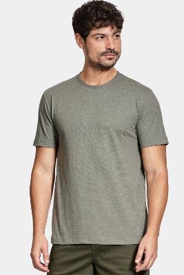 Camiseta Aramis Manga Curta Malha Flame Verde