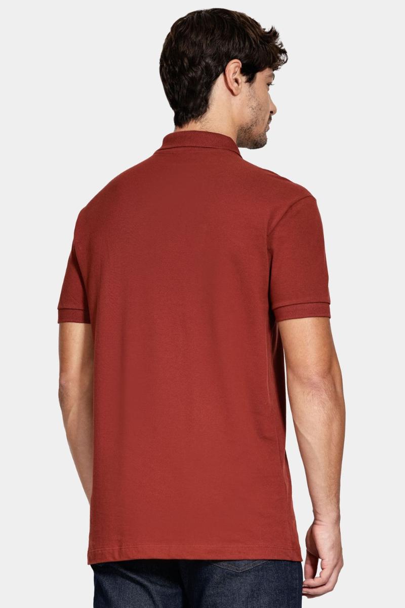 Polo Aramis Piquet Algodão Básico Manga Curta Tijolo - 4