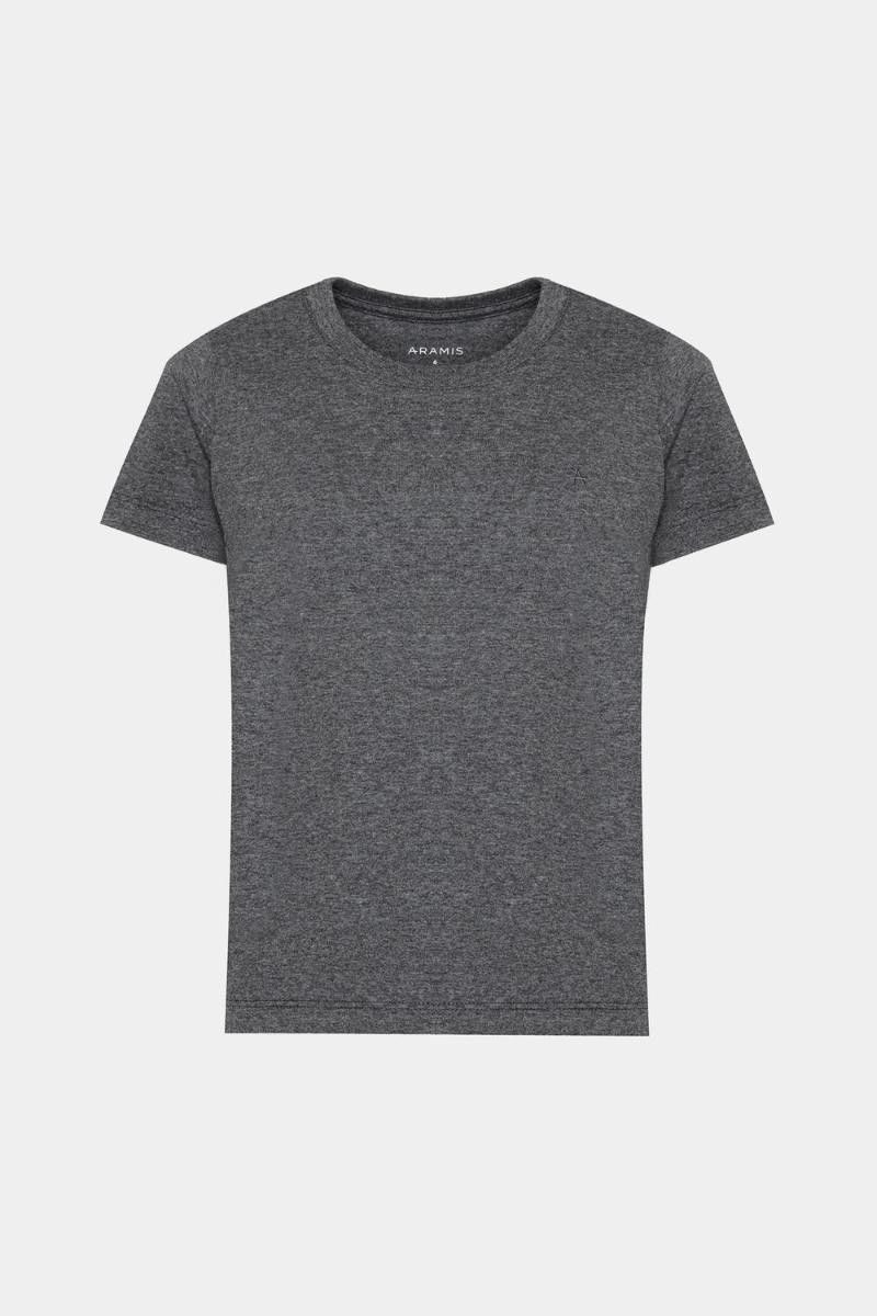 Camiseta Infantil Aramis Básica Cinza Mescla - 5
