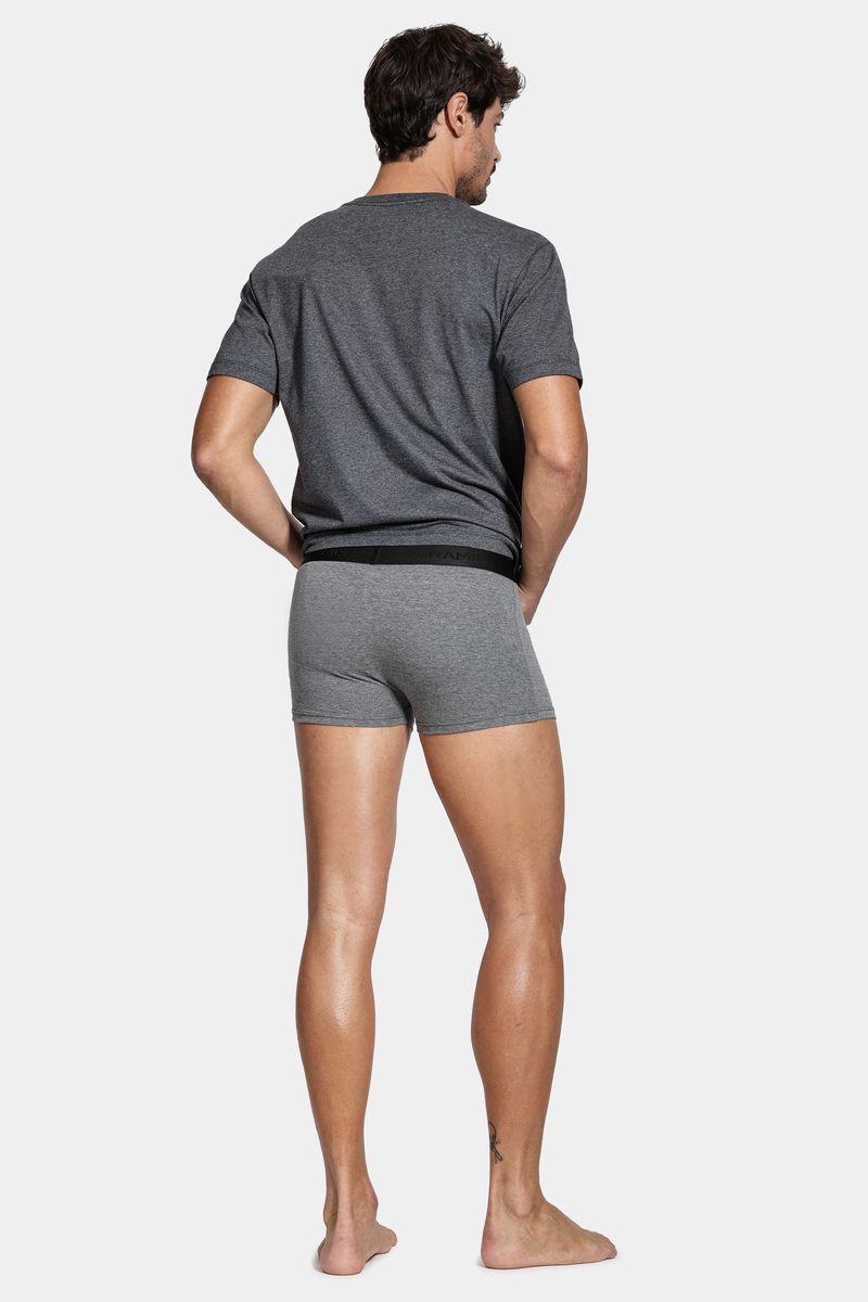 Kit 3 Cuecas Neo Boxer Cotton Cinza Mescla - 3