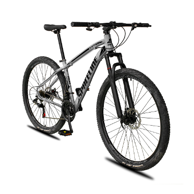 Bicicleta Aro 29 Spaceline Vega Alumínio 24v Freio a Disco Supensão MTB