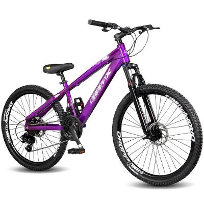 Bicicleta Aro 26 Dropp x PRO Freeride 21 Vel Freio A Disco Vikingx Grau Wheeling  Vmaxx