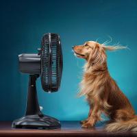 Ventilador 2 em 1 Britânia Tecnologia Maxx Force 60W BVT301 - 2