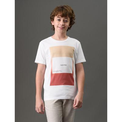 Camiseta Menino Sunset Overlay Calvin Klein Jeans - Branco