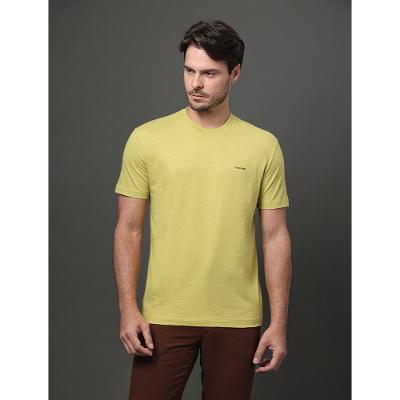 Camiseta Masculina Flamê Calvin Klein - Verde Pistache