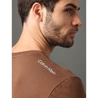 Camiseta Masculina Logo Costas Calvin Klein Swimwear - Marrom