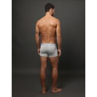 Cueca Trunk Modal Tonal Calvin Klein Underwear - Mescla - 2