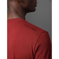 Camiseta Masculina Logo Costas Calvin Klein Swimwear - Vermelho Escuro - 2