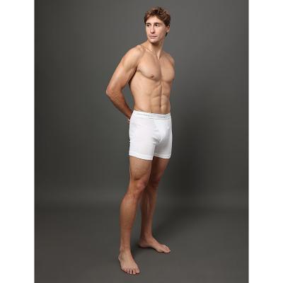 Kit 3 Cuecas Boxer Brief Cotton Calvin Klein Underwear - Multi