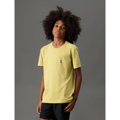 Camiseta Menino Reissue Peito Calvin Klein Jeans - Verde Pistache