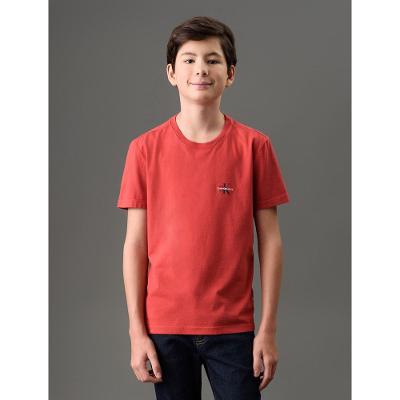Camiseta Menino Reissue Peito Calvin Klein Jeans - Vermelho