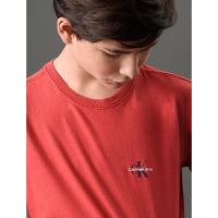 Camiseta Menino Reissue Peito Calvin Klein Jeans - Vermelho