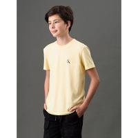 Camiseta Menino Reissue Peito Calvin Klein Jeans - Amarelo Manteiga - 1