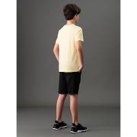 Camiseta Menino Reissue Peito Calvin Klein Jeans - Amarelo Manteiga - 2