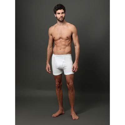 Kit 3 Cuecas Boxer Brief Cotton Calvin Klein Underwear - White