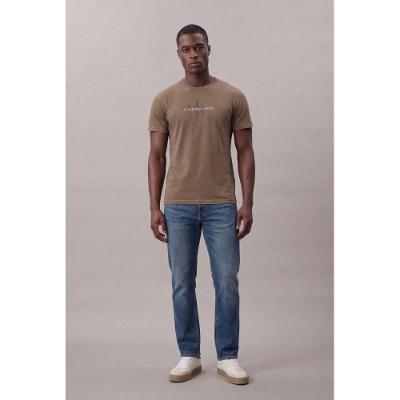 Camiseta Mc Ckj Masc Re Issue Stone - Marrom